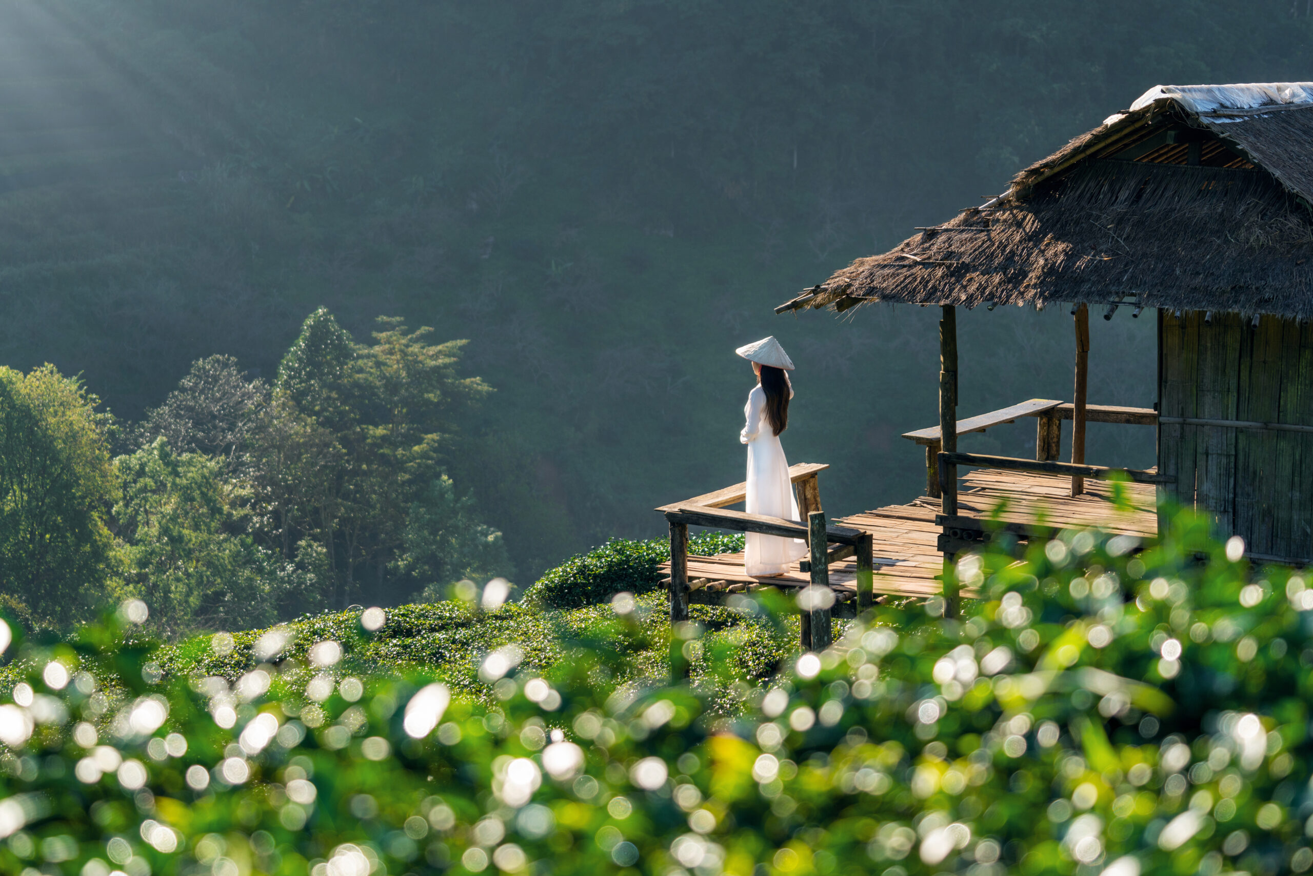 Asian woman wearing Vietnam culture traditional in green tea field on Doi Ang Khang , Chiang Mai, Thailand.