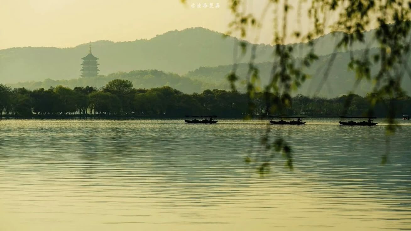 d733b6ff-27f9-4dd8-8e-8da218913551